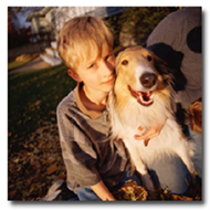 Colorado boy and his dog - custody relocation issues pose difficult challenges for parents